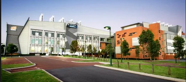 curtin university di australia